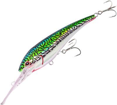 Buy Nomad Design DTX Trolling Minnow Lure Floating 120mm Holo