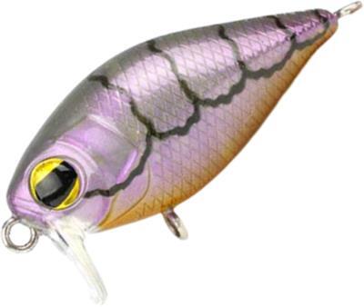 Pro Lure XS36 (X-Shallow) Crank Fishing Lure CLEARANCE — Bait Master Fishing  and Tackle