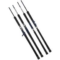 DAIWA 25 SALTIGA J OVERHEAD ROD