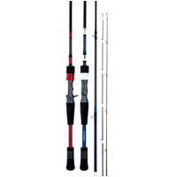 DAIWA INFEET EX BAITCAST ROD