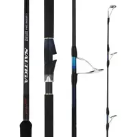 DAIWA SALTIGA BREAKTHROUGH SPIN ROD