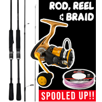 SUPER VALUE DAIWA LURE &amp; PLASTICS ROD REEL COMBO