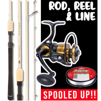 LIGHT BEACH &amp; BREAKWALL SPIN ROD REEL COMBO