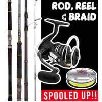 LIVE BAITING &amp; JIGGING SPIN  ROD REEL COMBO