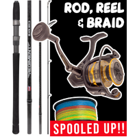 PENN INSHORE CASTING ROD REEL COMBO