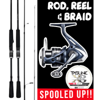 SHIMANO DAIWA FLATTY TAMER ROD REEL SPIN COMBO