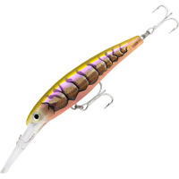 RAPALA X-RAP SALTWATER DEEP 11cm LURE